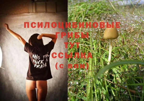 дмт Алзамай